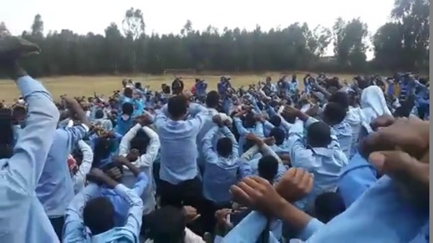 hiriira barattoota shaashamannee